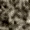 DK.22540